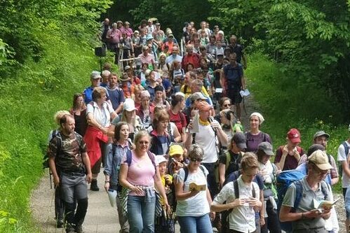 Pilger_Schwestern der Jüngersuche